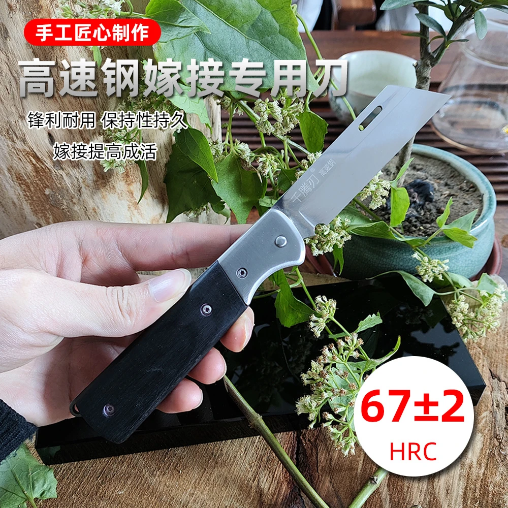 镜面高速钢尖头可折叠嫁接刀黑彩木方柄专业芽接刀果树嫁接工具