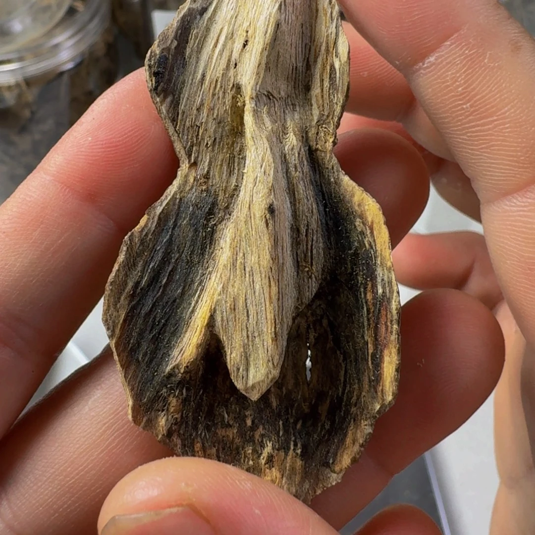 沉香沉香碎屑虎斑棋