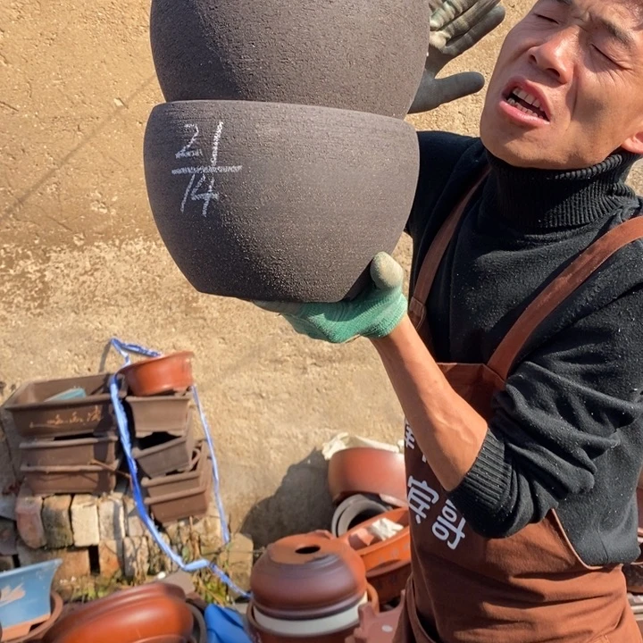 红陶这样我也可以去看看去