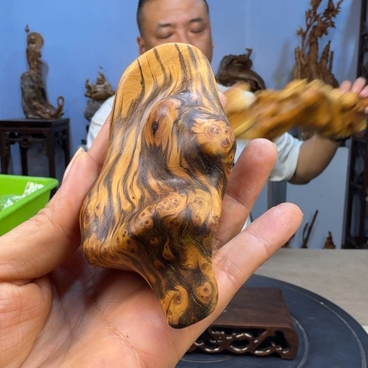 柏木（崖柏）太行崖柏