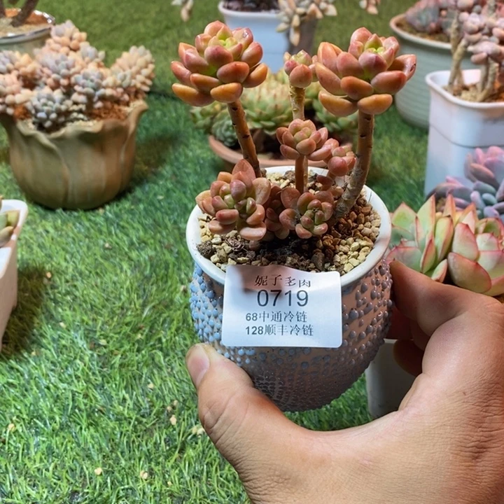 0719啊啊啊啊啊啊啊啊啊