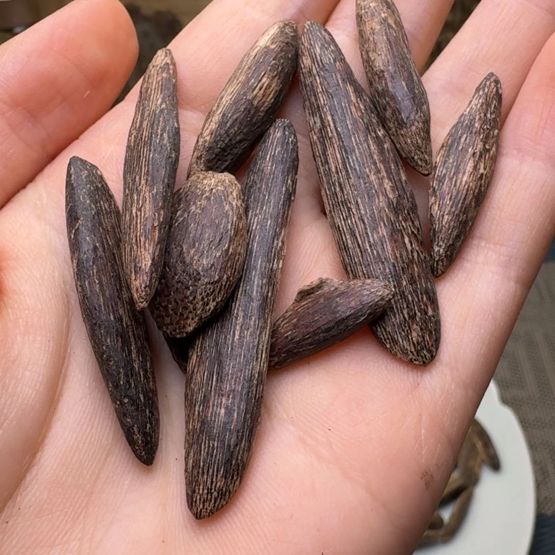 香榧木海南大山瓜子料5.5克