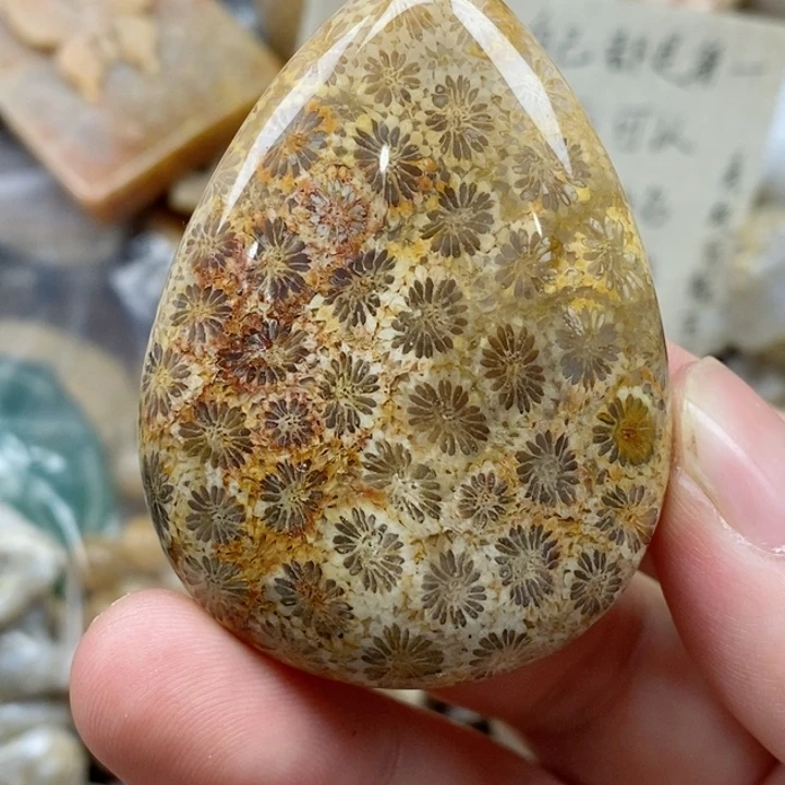 硅化珊瑚（珊瑚玉）未镶嵌颈饰