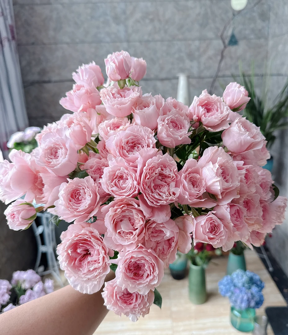 【10枝多头玉脂】全场任意两单顺丰冷链包邮，一单需补邮费！