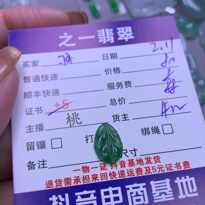 翡翠颈饰未镶嵌羽****体