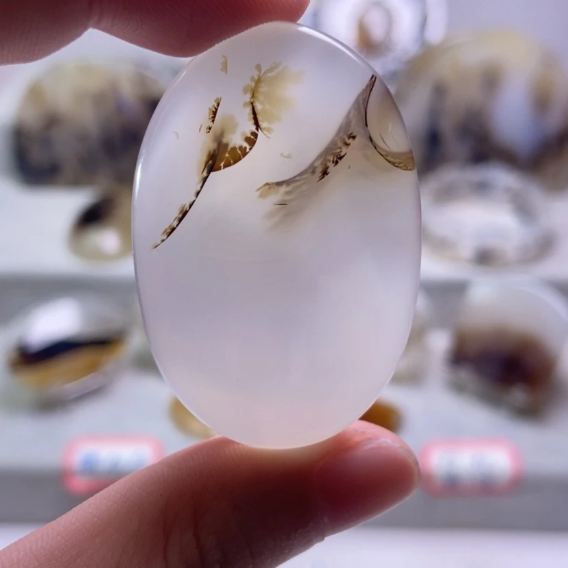 【闪购商品】未镶嵌玛瑙/玉髓珠宝奇石