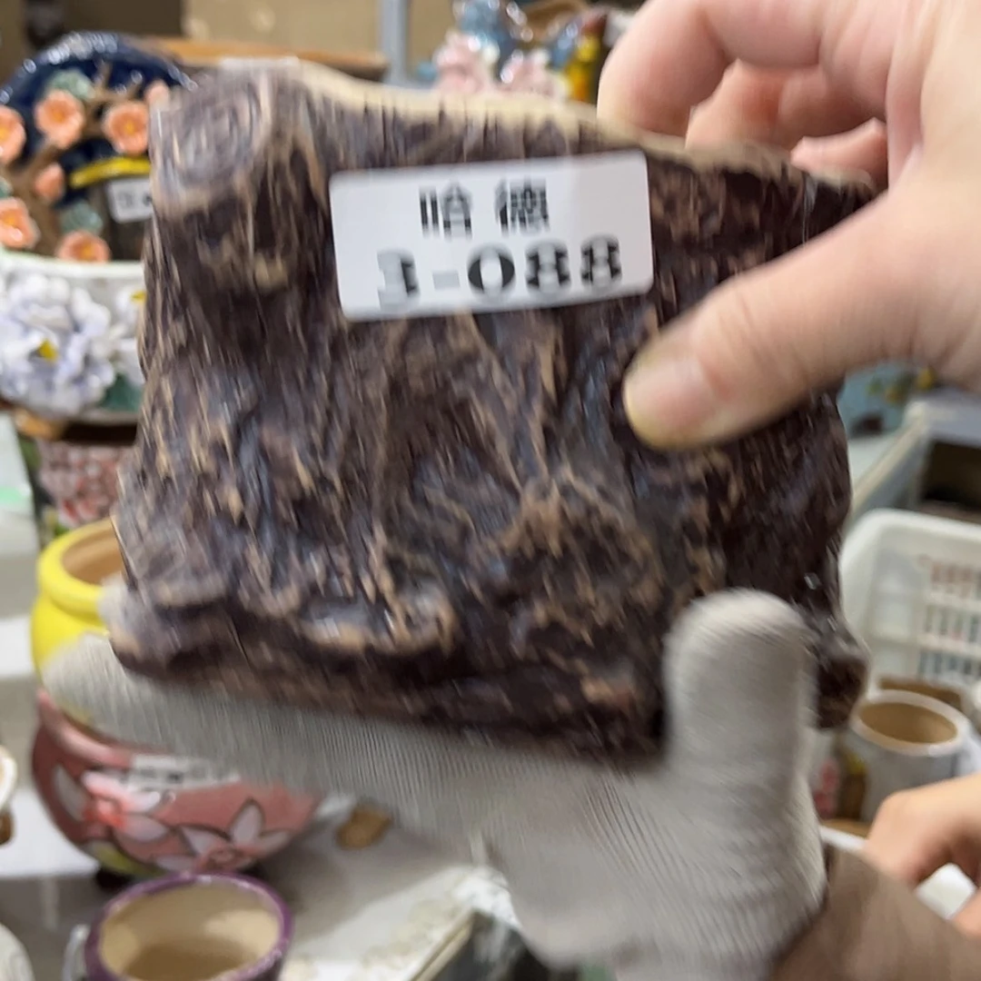 【闪购商品】红陶188