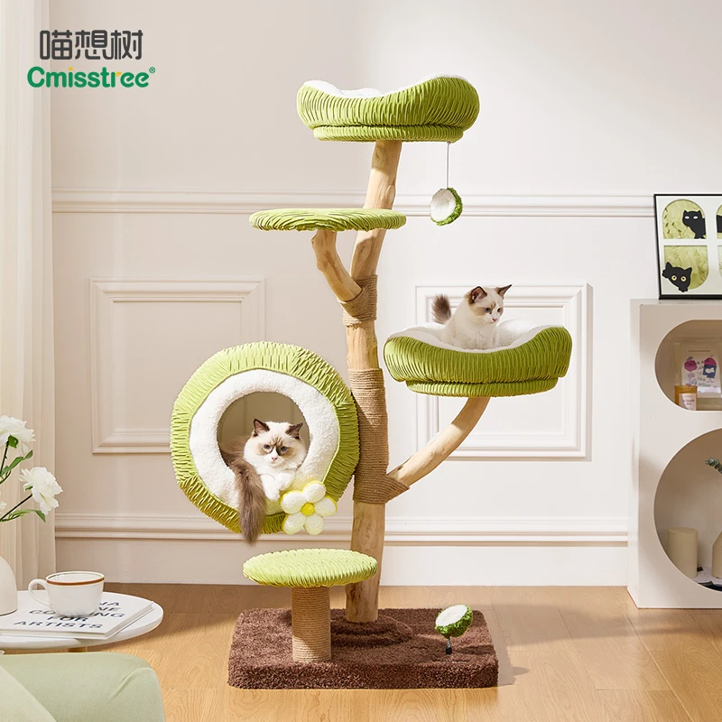 Cmisstree/喵想树青椰实木猫爬架猫窝猫树一体不占地大猫多猫专用