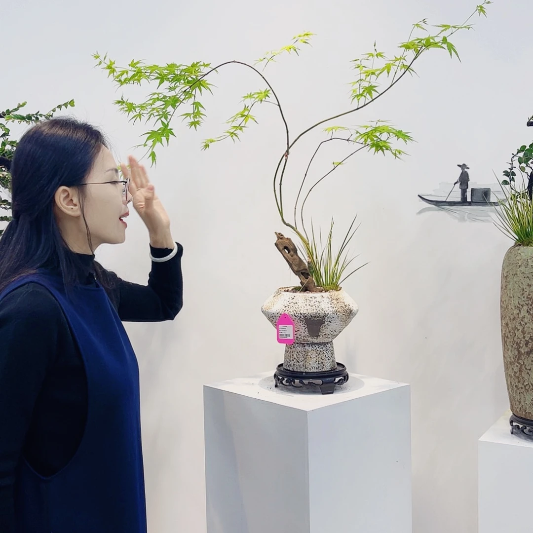 高端绿植一物一拍