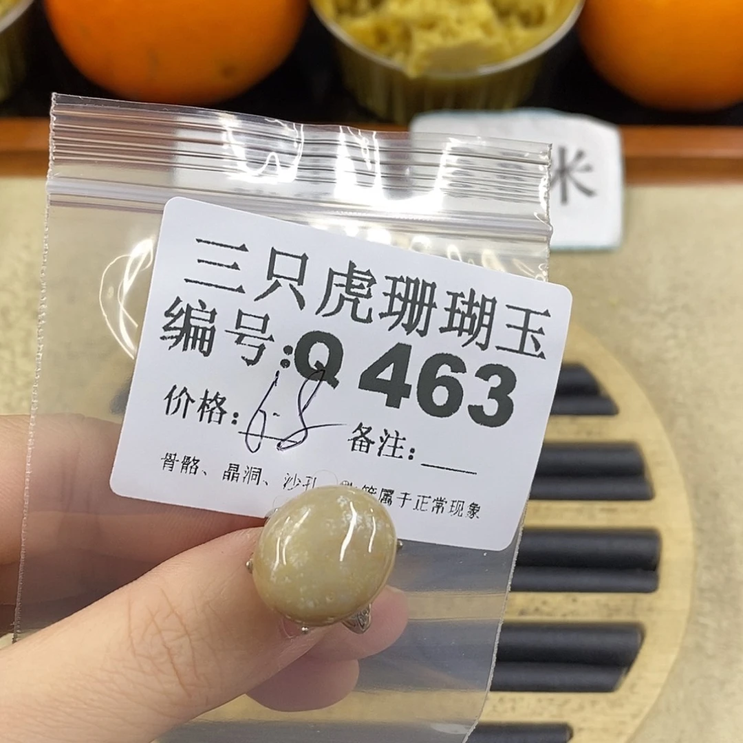 硅化珊瑚（珊瑚玉）1未镶嵌用****舞