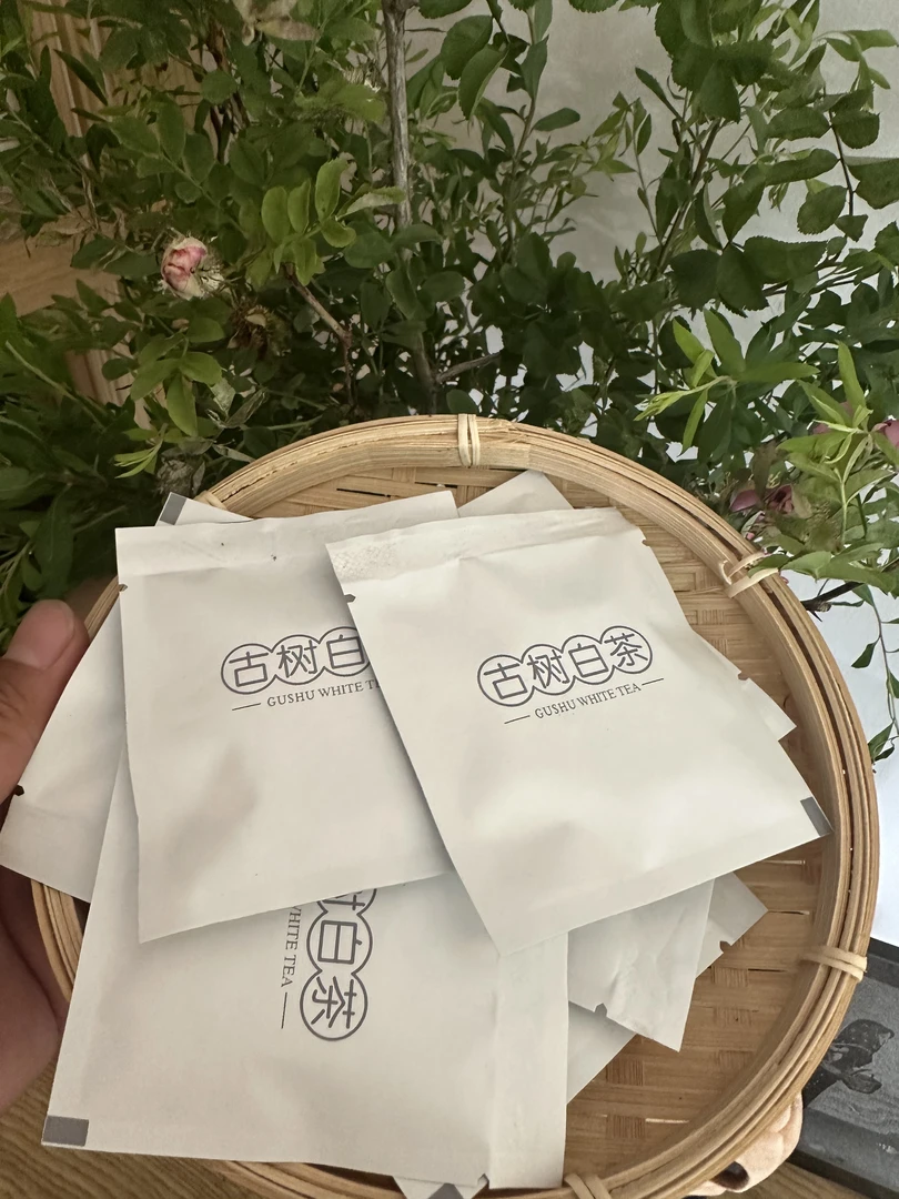 云南古树白茶小饼