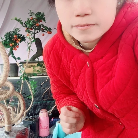 无花朵金弹子福字