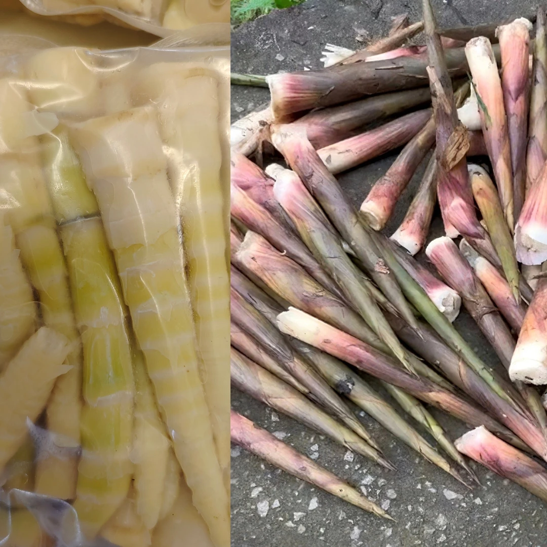 新鲜带壳大小竹笋现拔现发拍4发5斤脆嫩清甜山里笋剥壳2-4斤装