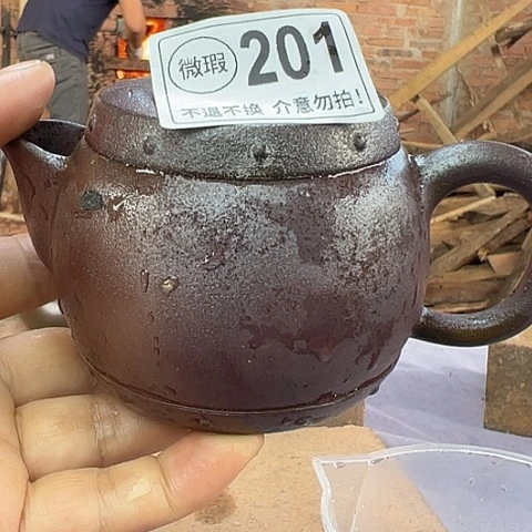 戬谷龙窑柴烧茶壶201
