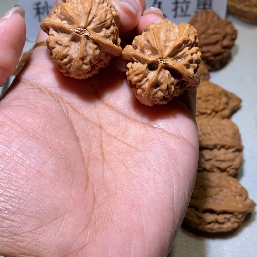 沒***核桃手串/手链沈鸡32