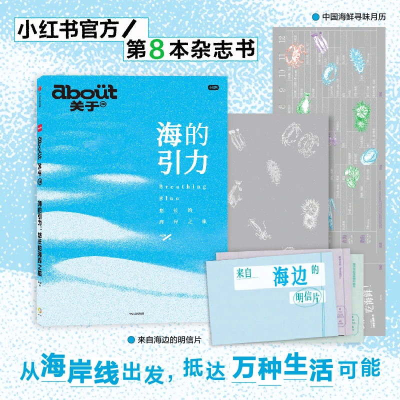 “about关于”系列第8册：海的引力：悠长的海岸之旅 中信出版 图书