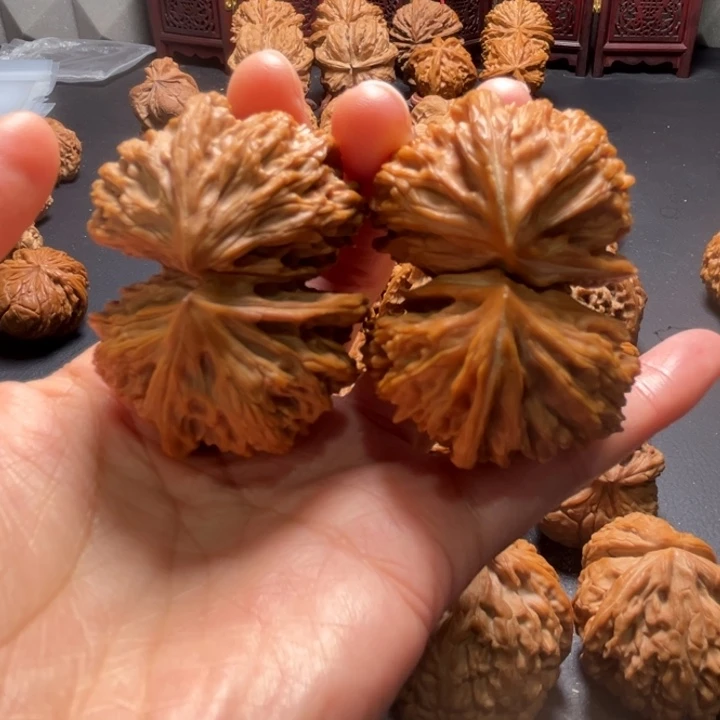 文山连体51尺寸核桃哈哈哈哈哈哈哈哈