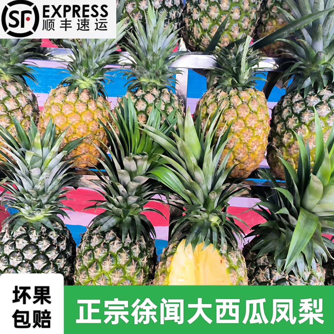 【顺丰包邮】西瓜凤梨自然熟新鲜现摘香甜多汁