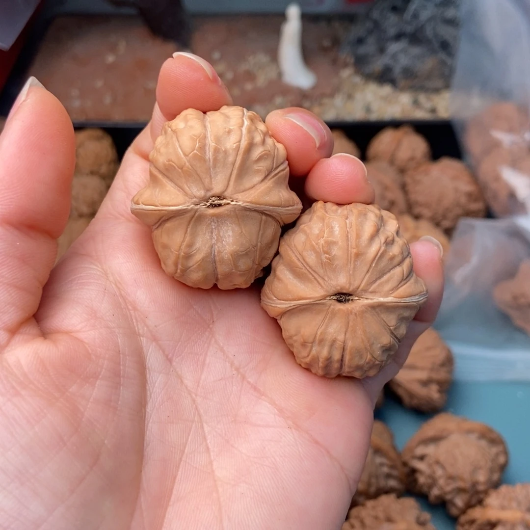 吊坠文玩核桃龟甲纹14