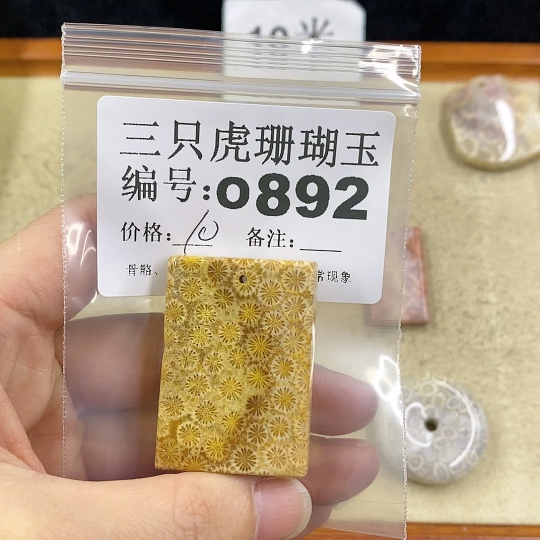 硅化珊瑚（珊瑚玉）1未镶嵌晒****钙