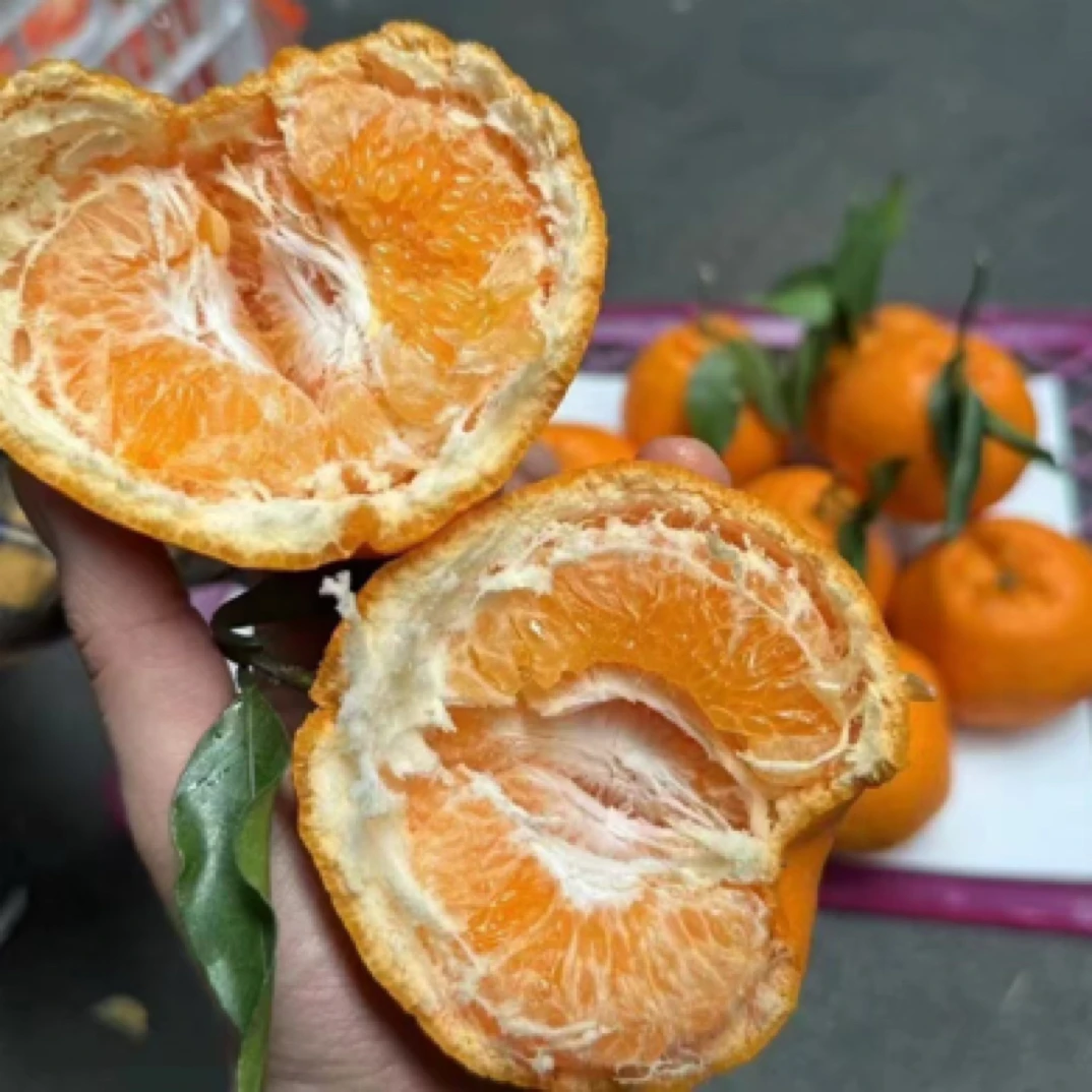 春见耙耙柑一斤装