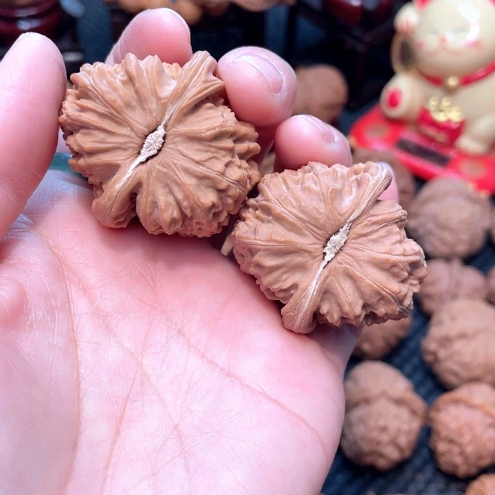 原装三角白狮子3.9全品无修。