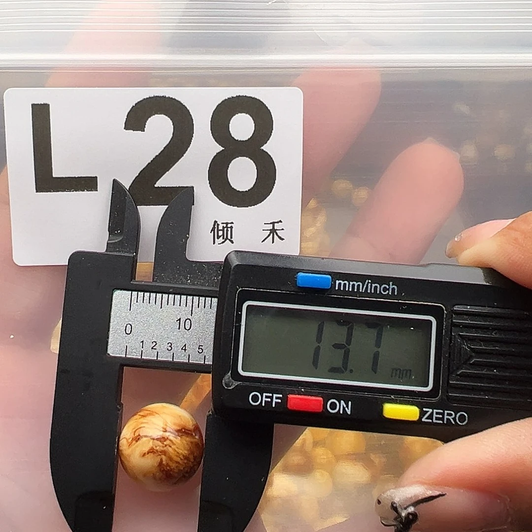 未镶嵌琥珀裸石13