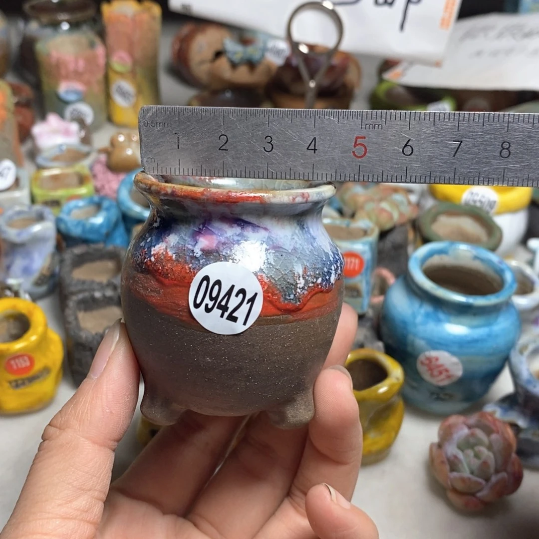 拍5送一个小礼物