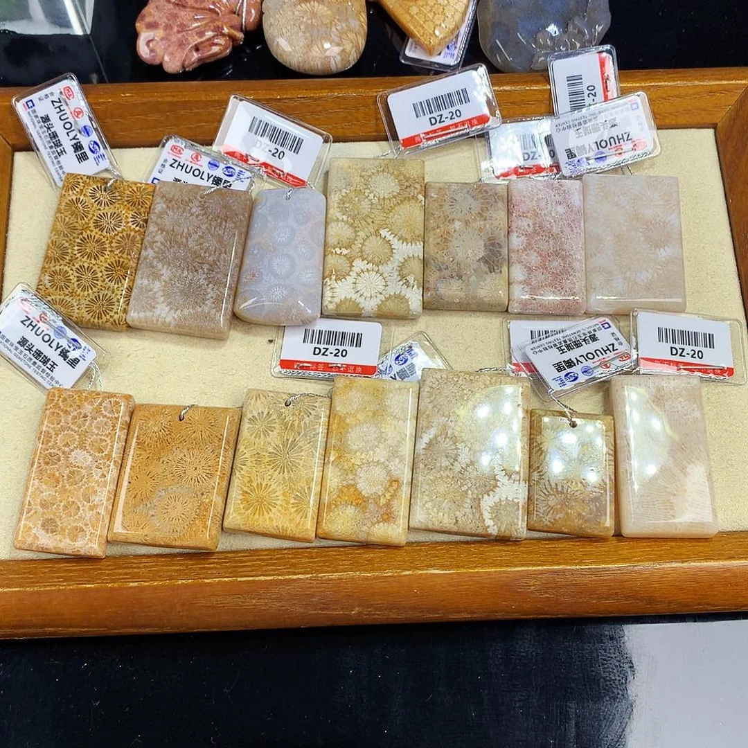 硅化珊瑚（珊瑚玉）未镶嵌吊坠(赠链)15号吊坠20一个