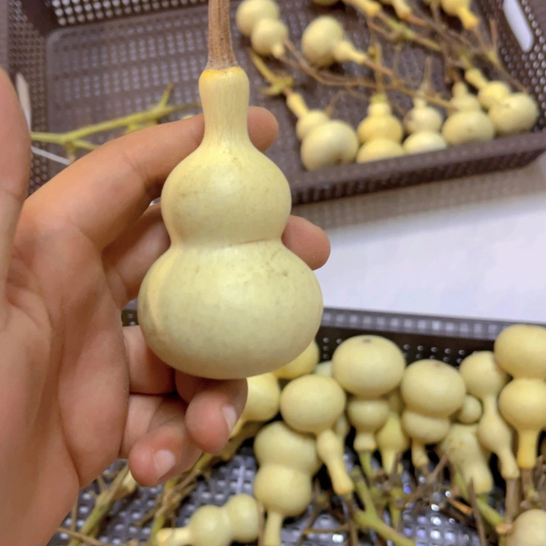卫***卫感谢大哥支持兄弟，不保
