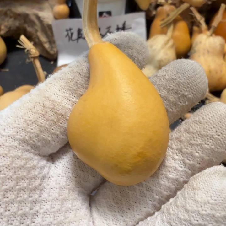 普***r6666667777788888899