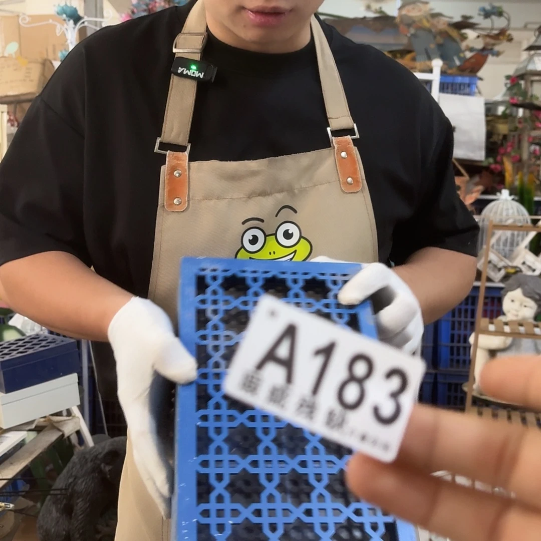 核桃木/黑胡桃（胡桃木）