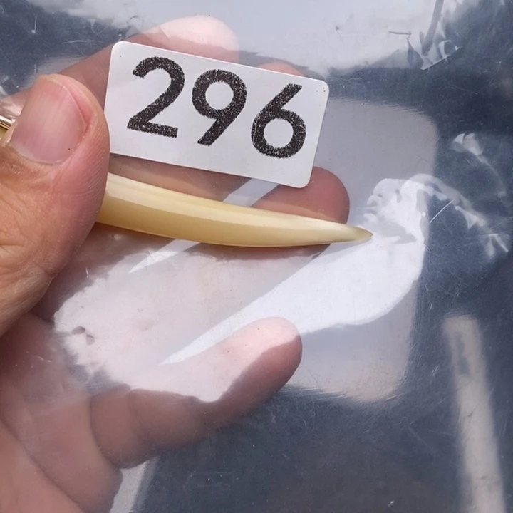 科檀(科特迪瓦檀木)