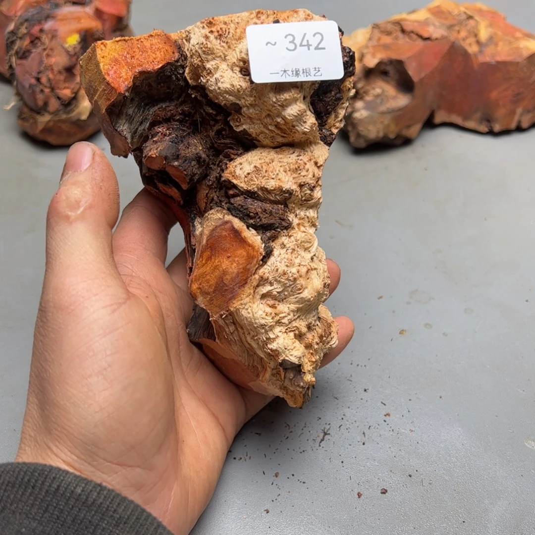 弓***师无花朵         342