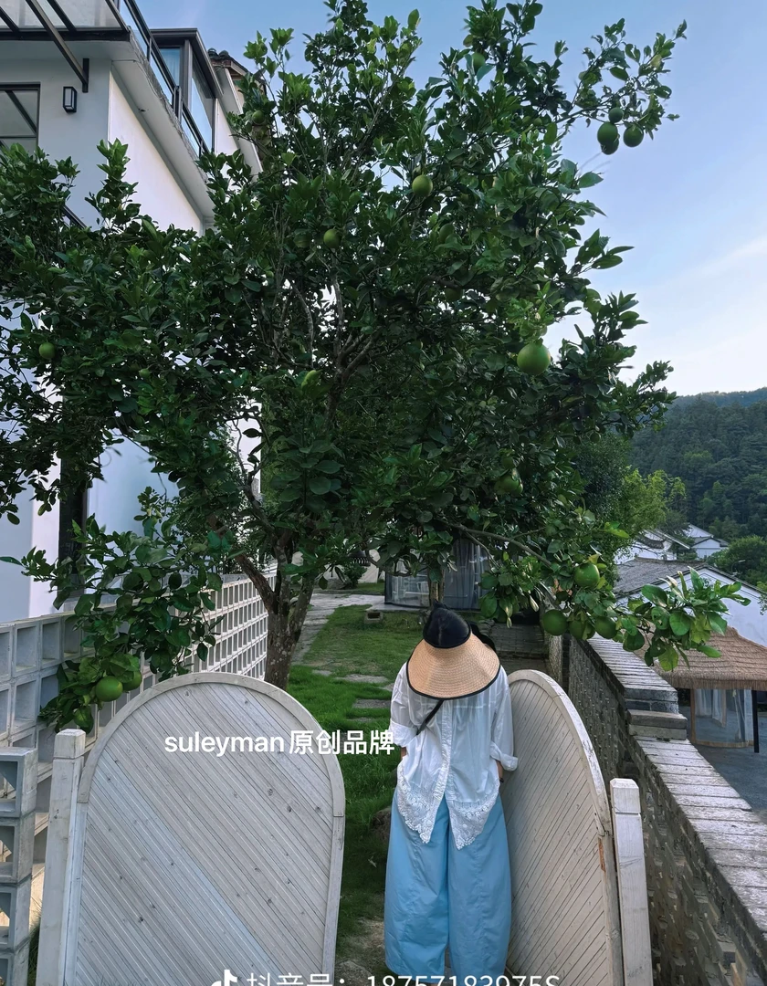 青木子Suleyman【冰感神裤】2025新款裤子