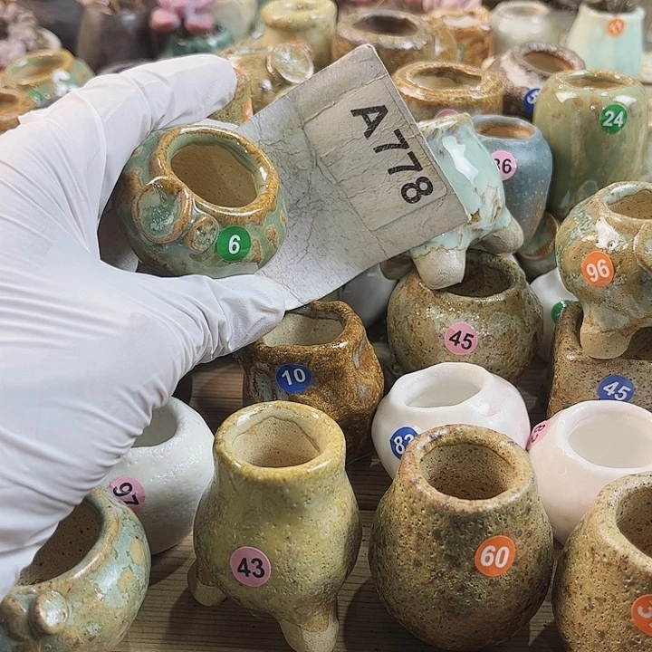 小***星778密密麻麻密密麻麻