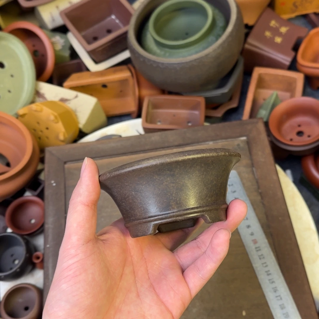 泥塑9.5+4vvvvvvvvvvvvv