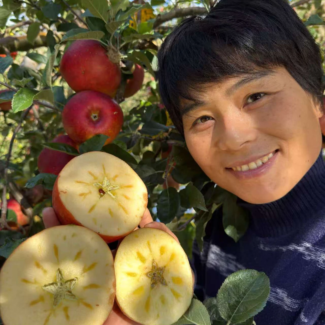 【盐源大凉山糖心丑苹果】现摘现发整箱红富士糖心丑苹果4.5/5/8