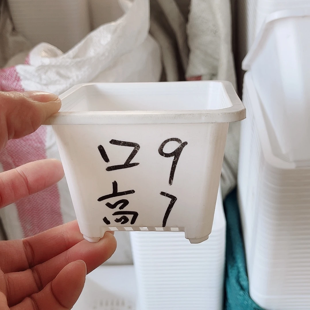 塑料福利款9方白色盆30个无托