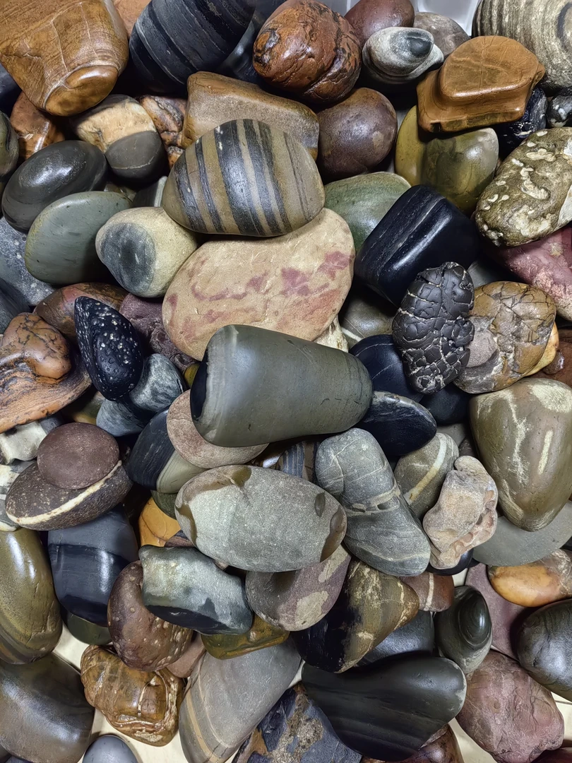 广西大湾石大化石精美石头值得拥有