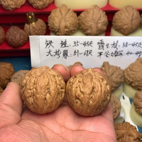 把件文玩核桃莫****为40尺霸王龙