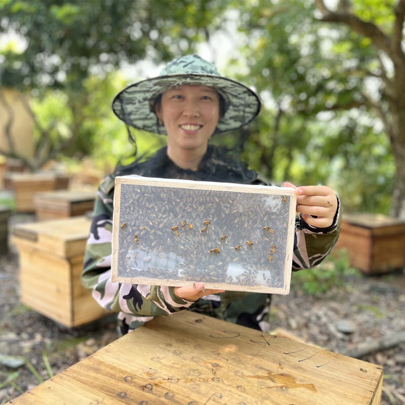 中蜂木框笼 带脾 不带箱 活框土养