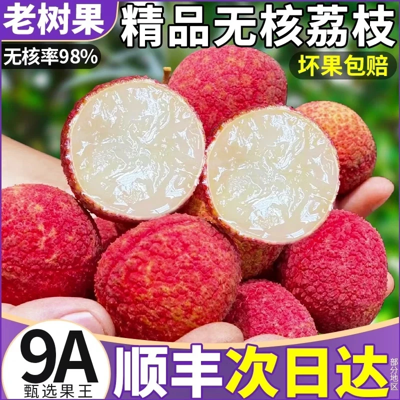 【顺丰空运】现摘无核荔枝海南火山岩荔枝孕妇宝宝果礼盒装季节水果