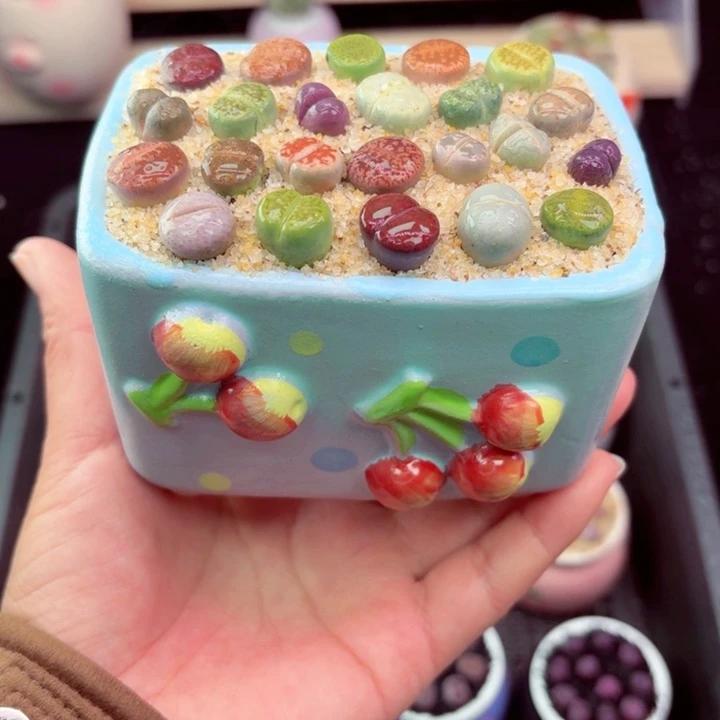 832 凑满8包邮零下地区记得拍保温箱