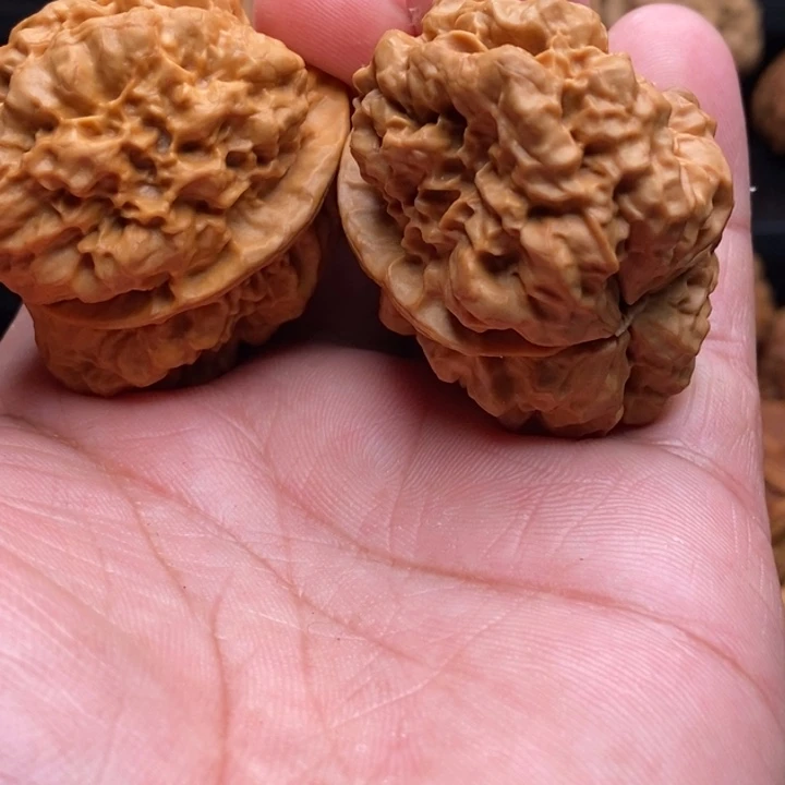 s***~把件文玩核桃哈哈哈哈哈哈哈哈哈