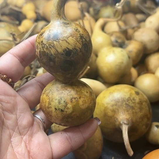 哈****酒葫芦葫芦葫芦葫芦