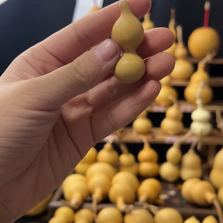 没有运费险，退自付运费