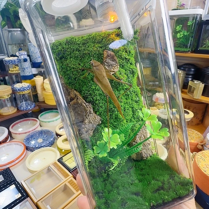 10/20盒子➕蛙纺啊啊啊啊啊啊