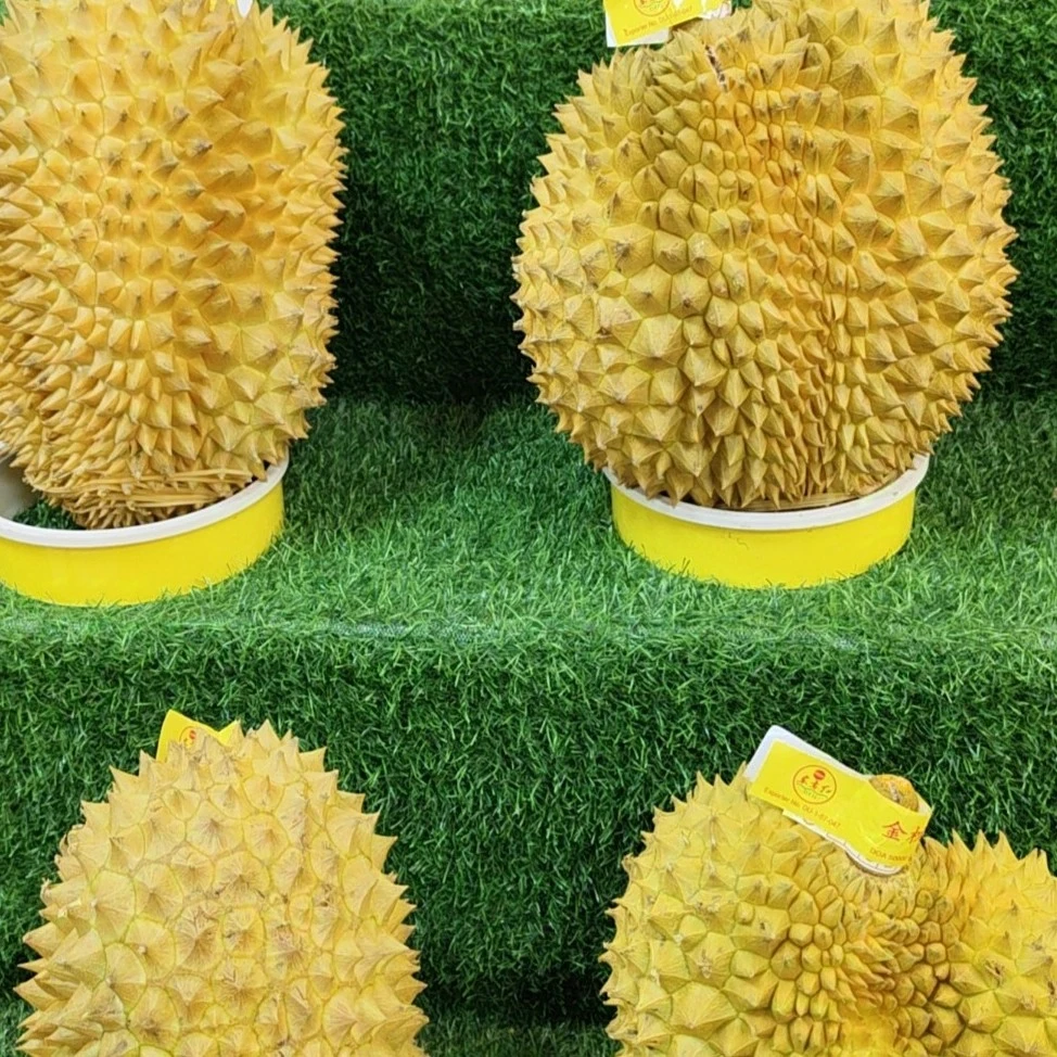 泰国金枕榴莲软糯香甜