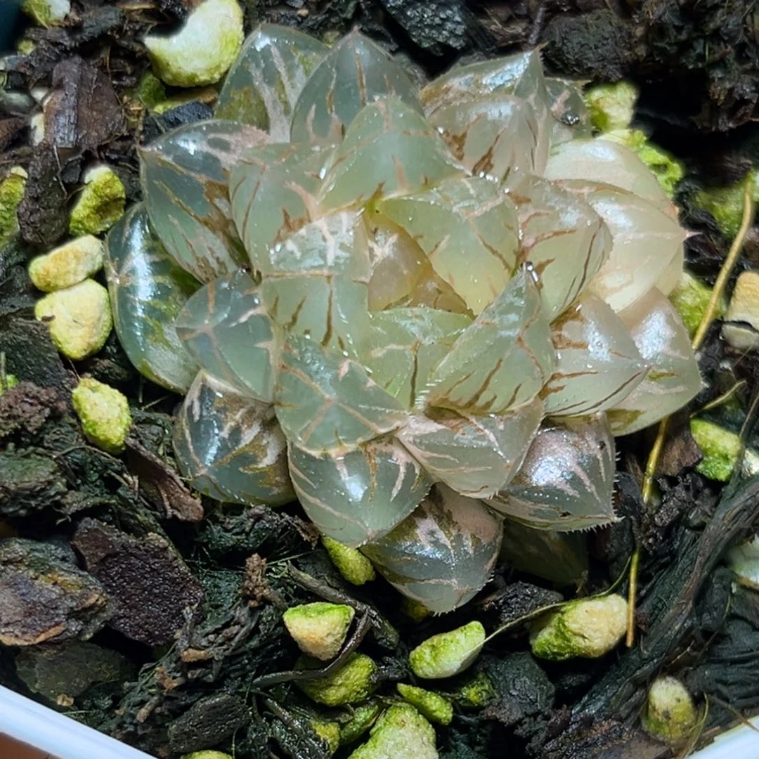 恭喜发财大吉大利0224